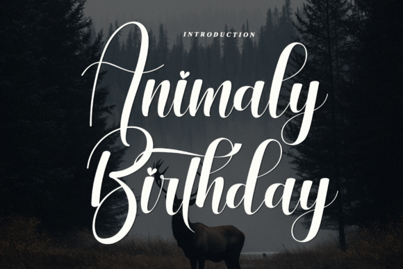 Animaly Birthday: A Stylish Script Font for Branding