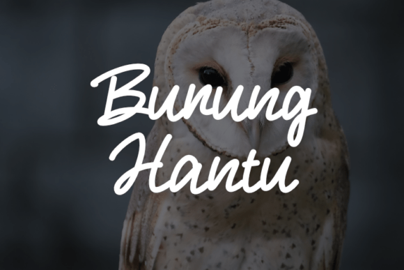 Burung Hantu: A Script Typeface for Editorial Design