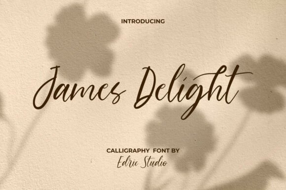 James Delight: A Calligraphy Font for Expressive Web Design