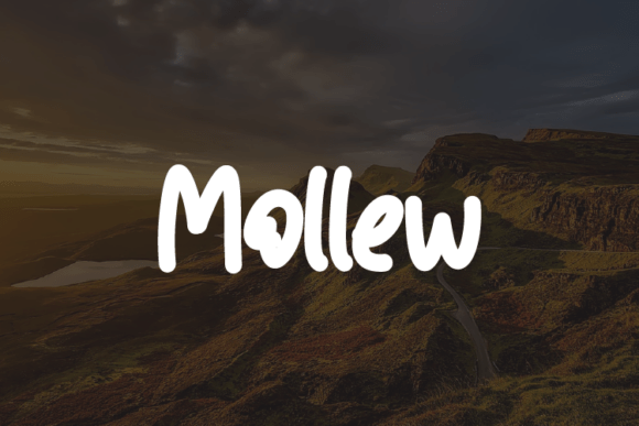 Mollew Typeface: A Modern Script Font for Business Branding