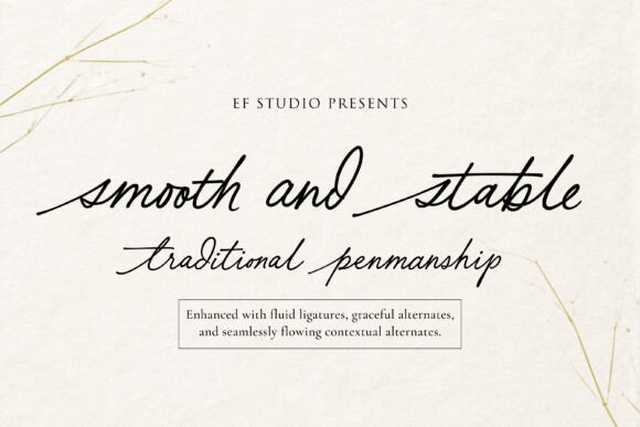 Smooth and Stable: A Font for Editorial Grace